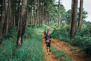 BIB: 
                            <button type="button" onclick="openModal(25658963)" class="btn btn-primary btn-sm float-right btn-popup" data-toggle="modal" data-target=".modal-high-quality">
                        <i class="fas fa-shopping-cart"></i> Add to Cart
                    </button>
                                            <button type="button" onclick="isThisMe(25658963, true)" class="btn btn-success btn-sm float-right btn-popup btn-isme hidden" data-toggle="tooltip" data-placement="bottom" title="นี่คือรูปของคุณใช่ไหม คลิกที่นี่เพื่อเอาเข้าอัลบั้ม">
                        <i class="fas fa-plus"></i> Add to album
                    </button>
                    <button type="button" onclick="isThisMe(25658963, false)" class="btn btn-warning btn-sm float-right btn-popup btn-isnotme hidden">
                        <i class="fas fa-ban"></i> Remove from album
                    </button>